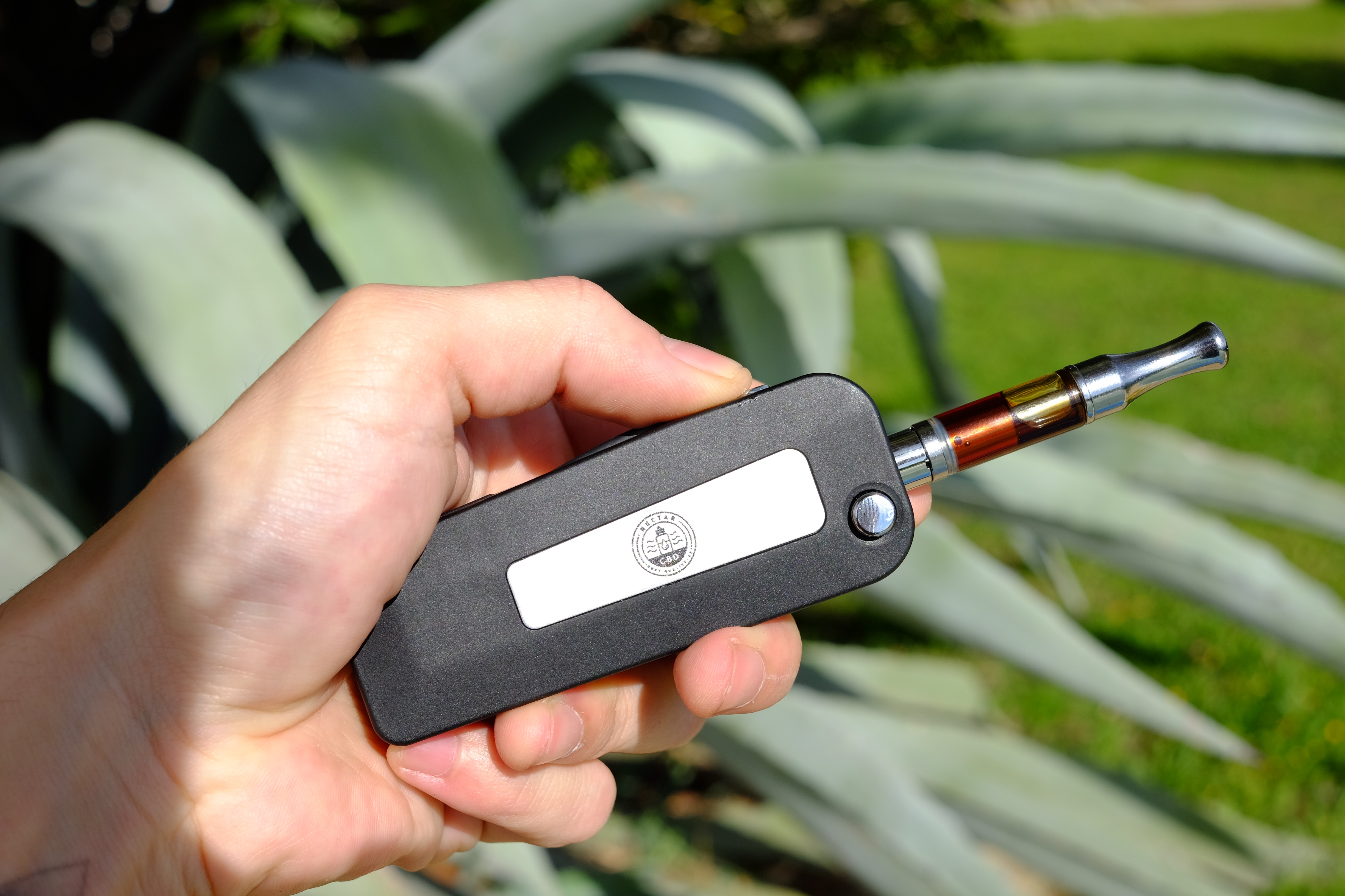 NECTAR CBD